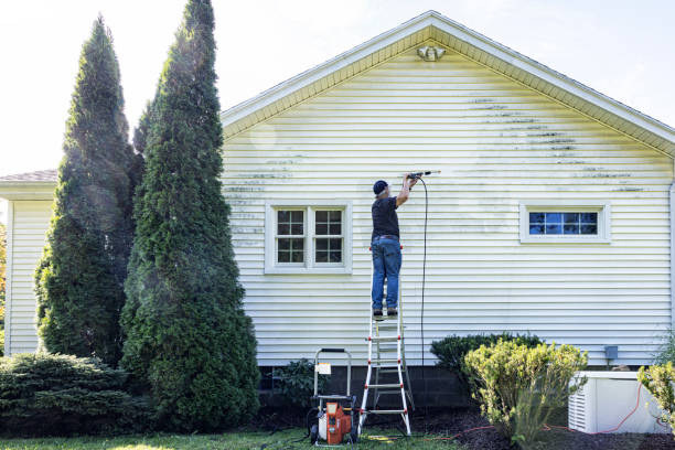 Best Driveway Pressure Washing  in Hobart, WA